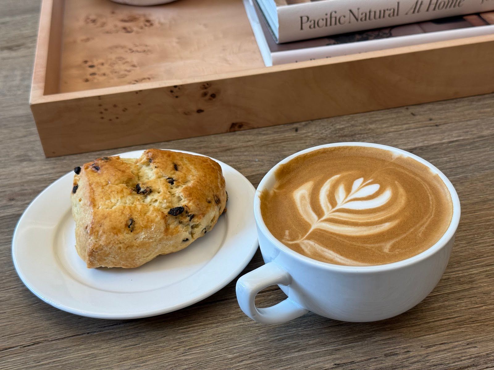 Feva Coffee Company